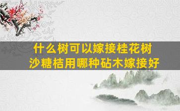 什么树可以嫁接桂花树 沙糖桔用哪种砧木嫁接好